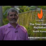 The Tree-man of Najibabad - Sushil Kumar